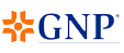 GNP